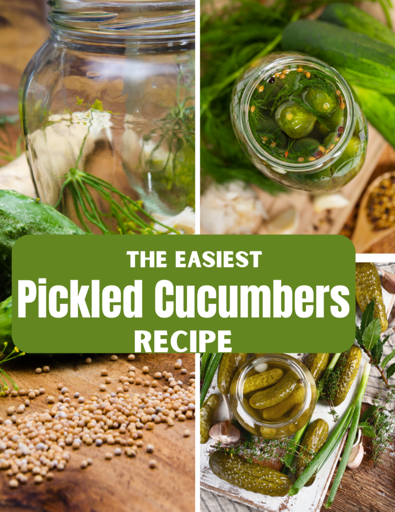 the-easiest-pickled-cucumber-recipe