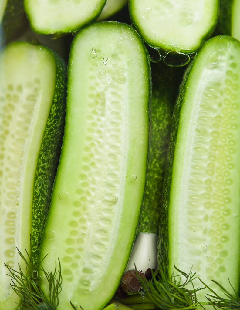 Pickled-Cucumbers-Pickling